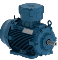 Электродвигатель W22Xdb низковольтный