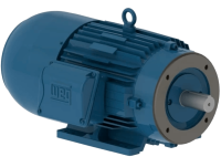 Электродвигатель W22  с электромагнитным тормозом