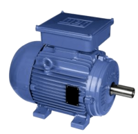 Электродвигатель W22 однофазный