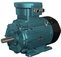 Электродвигатель WEX3