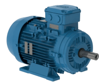 Электродвигатель W21