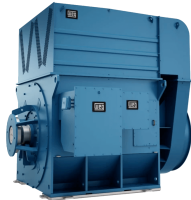 Синхронный электродвигатель WEG S