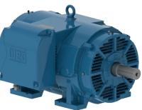 Электродвигатель W40 NEMA