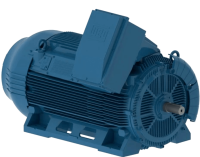 Электродвигатель W50 чугунный TEFC c короткозамкнутым ротором трехфазный  IEC
