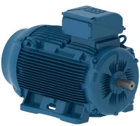 Электродвигатель W22Xec