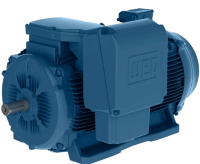 Электродвигатель W22  чугунный TEFC c короткозамкнутым ротором трехфазный  IEC