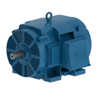 Электродвигатель W40