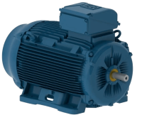 Электродвигатель W22Xtb DIP Ex tb