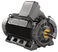 Электродвигатель W23 Sync+Ultra